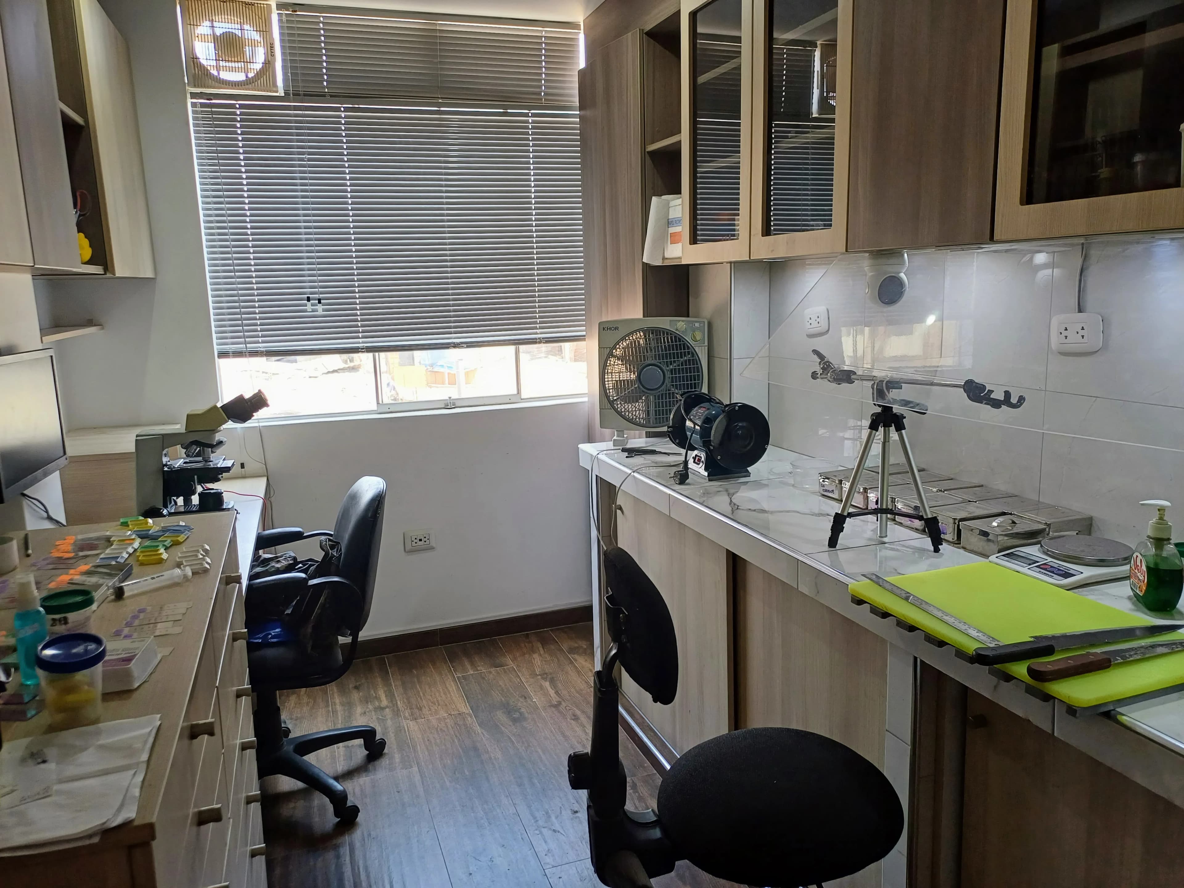 Carrusel de Patología - Imagen 3